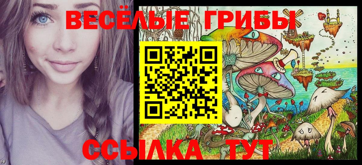 Псилоцибиновые грибы мухоморы Майкоп