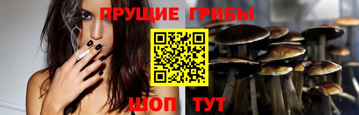 Майкоп  Псилоцибиновые грибы мицелий  Вход с VPN 